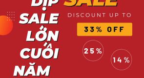 SIÊU SALE CUỐI NĂM NHÀ T VET