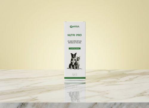 GEL DINH DƯỠNG- NUTRI PRO 